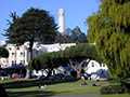 Coit Tower view from Washington Square